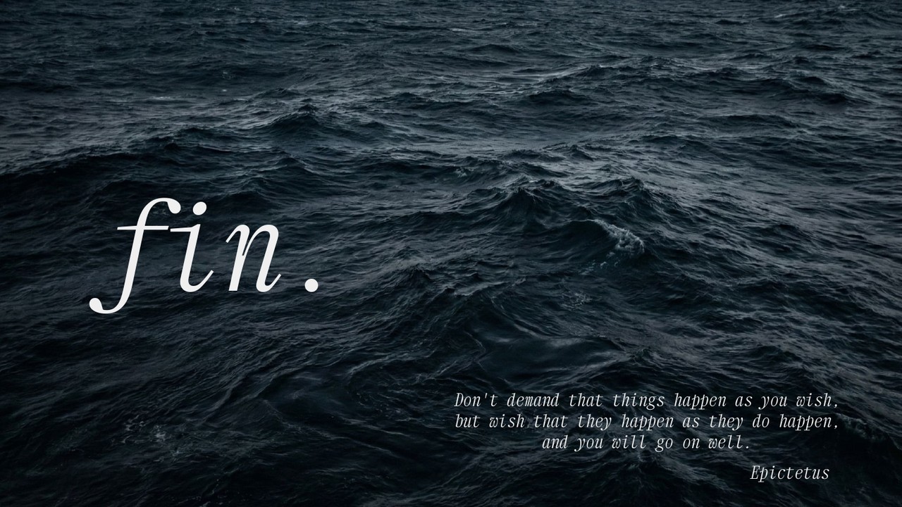 Fin